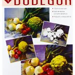 Bodegón
