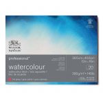 Block profesional Winsor & Newton