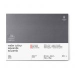 Block profesional Winsor & Newton