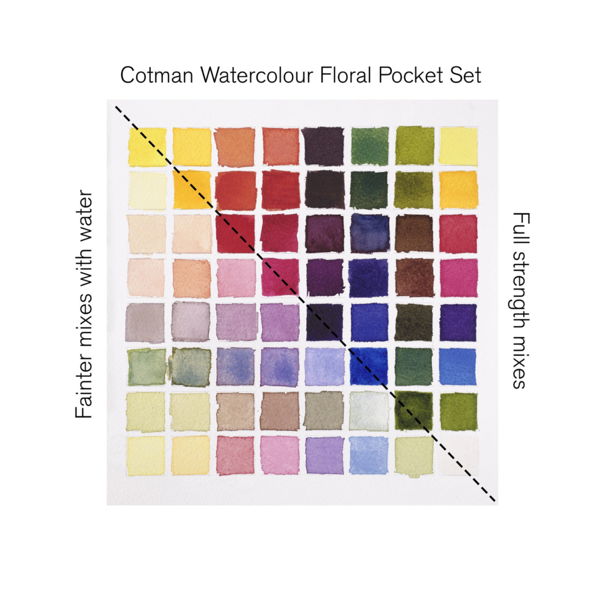Set Floral Winsor & Newton - Imagen 3
