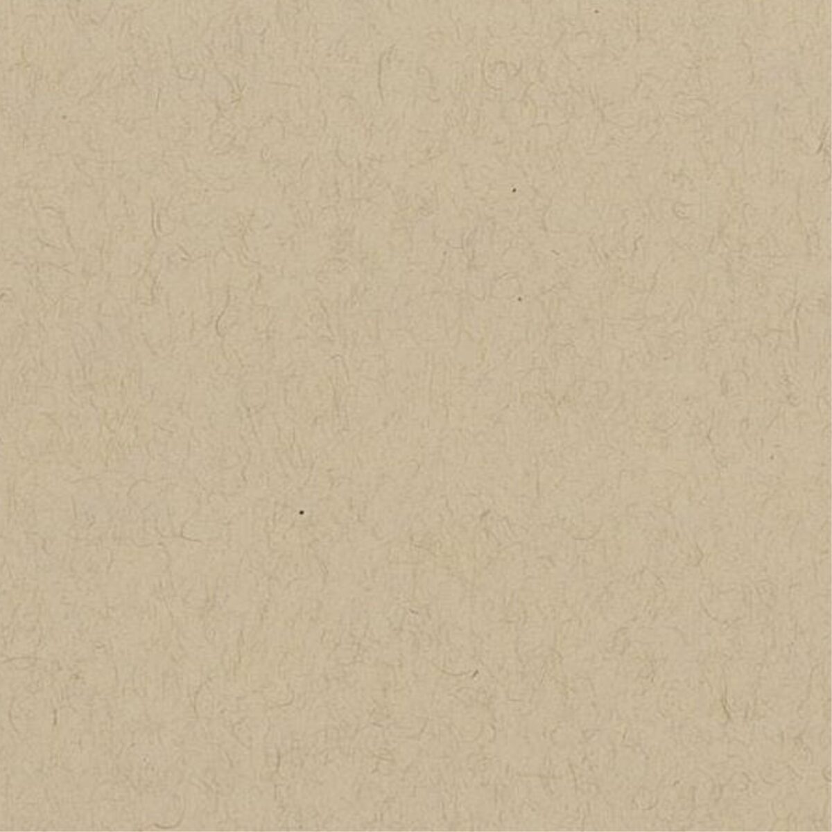 Toned Tan Strathmore - Imagen 2