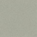 Toned Gray Strathmore - Imagen 2