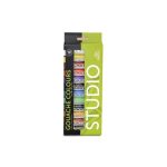 Gouache Studio Set Phoenix