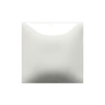 Cotton Tail SC-016
