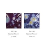 Passion Flower SW190 - Imagen 2