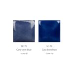Cara-bein Blue SC076 - Imagen 2