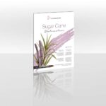 Sugar Cane Watercolour Hahnemuehle - Imagen 2